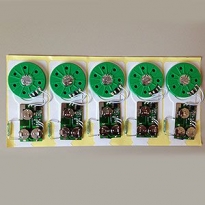 Soundmodule mit Magnetsensor